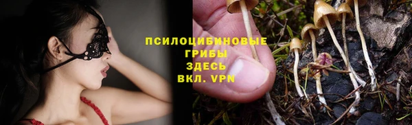 прущие крисы Алексин