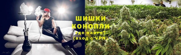 шишки Алексеевка