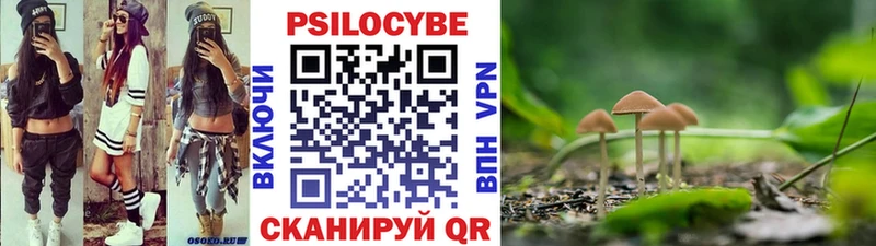 Галлюциногенные грибы GOLDEN TEACHER  купить закладку  Приморск 